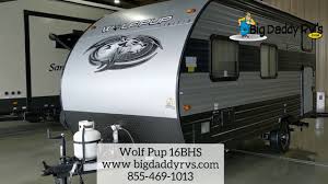 Providing sleeping for as many as 5, this family friendly trailer has a large kitchen with a flush mount glass cooktop, huge sink, ample counter space, and a 10.3 cu.ft. New 2021 Forest River Rv Cherokee Wolf Pup 16bhs Travel Trailer At Big Daddy Rvs London Ky My007527 In