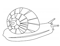 Subscribe to my free weekly newsletter — you'll be the first to know when i add new printable. A Snail Coloring Page Free Printable Coloring Pages For Kids