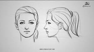 Haz tu selección entre imágenes premium sobre woman face side view de la más alta calidad. How To Draw A Female Face Front And Side View Youtube