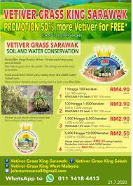 Descriptive information about borneo flooring sarawak sdn. Vetiver Grass King Sarawak Sos Organic Fertilizer