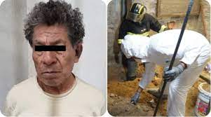 Los especialistas efectivamente hallaron varios. Gxbpdxs B3au0m