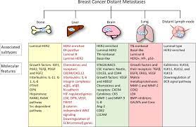 If you are diagnosed with metastatic breast cancer without a prior history of breast in contrast, metastatic cancer is sometimes found when a biopsy of a site, such as the liver, reveals breast cancer cells. Organotropism New Insights Into Molecular Mechanisms Of Breast Cancer Metastasis Npj Precision Oncology