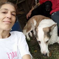 Ángeles en Libertad