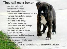 Pin By Kejuana Hicks On Dogs Boxer Love Boxer Dogs Boxer