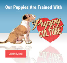 Quick view add to cart. Training Puppy Culture