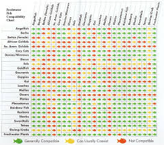Male bettas are aggressive, but mostly with other male bettas which is why they should not be kept together in the same tank. Compatability Chart For Aquarium Fishes And Marine Water Fish Compatibility Charts Aquarium Fish Chart Tropical Fish Aquarium Freshwater Aquarium Fish