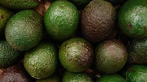 Nov 03, 2021 · a university of otago researcher is one step closer to unlocking the secrets of the ageing process after receiving marsden funding. New Zealand Government Wants To Unlock Avocado Potential
