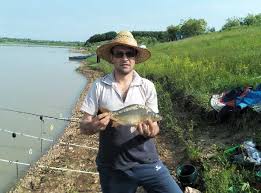 Pescuit la mreana pe olt cu pluta bologneza. Unde Am Pescuit Comentarii Partide Balta Rusciori Pescuitul Ro