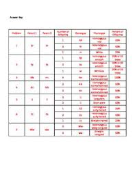 Worksheet will open in a new window. Multiple Alleles Blood Type Worksheet Answers Amoeba Sisters