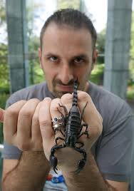 Indiana Jones was right all along: Research shows the smaller the scorpion,  the deadlier | EurekAlert!