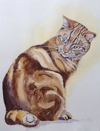 Maybe you would like to learn more about one of these? Watercolour Pet Portraits Gallery Julie Cohen