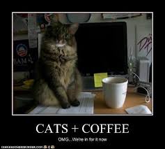 Enjoy our daily funny memes collection. Lol Cats Nether Region Of The Earth Iii Page 3