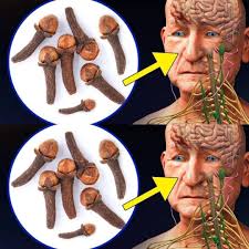 Chewing cloves for health benefits and staying updated