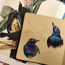 Sidney green and william wade woodson. Liz Clayton Fuller On Twitter Some Shiny Grackles For A Moment Of Peace In This Chaotic Hellscape May Their Iridescence Soothe You