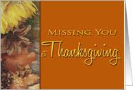 Missing You On Thanksgiving Cards From Greeting Card Universe