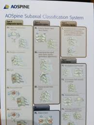 Image result for Subaxial Injury Classification Scale