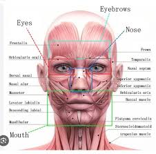 Sarah Spearing Fitness