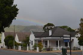 Image result for Bothriocline inyangana