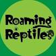Roaming Reptiles - Hands on experience event image
