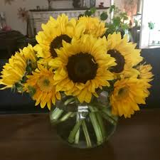 We did not find results for: Kroger Sunflowers That I Arranged In A Round Container Flowers
