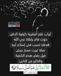 آیة و حكمة غراب علم البشرية كيفية الدفن حوت قام بإنقاذ نبي الله هدهد تسبب في إسلام أمة نملة غيرت مسار جيش فيل رفض هدم الكعبة و quran verses quran arabic words