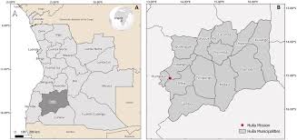 Image result for Macledium poggei