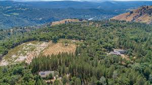 Mad Dog Mesa Olive Oil Orchard Near Coloma Listed For Sale Sacramento Business Journal