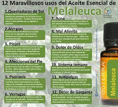 Pin On Melaleuca The Wellness Company