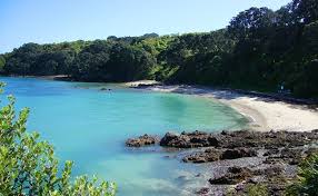 Tiritiri matangi island yakınlarında yapılacak şeyler. Tiritiri Matangi Island We Recommend Fullers360