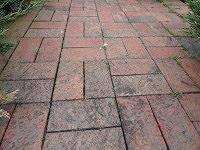 We did not find results for: How To Choose Between Brick And Concrete Pavers Today S Homeowner
