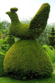 Garden Design Topiary Dead Dogs The Planthunter Garden Design Topiary Topiary Garden