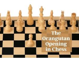Production ready management for file, block and storage operators for kubernetes. The Orangutan Opening In Chess Becoming A Chess Master