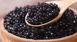 Ayam serama merupakan ayam terkecil di dunia yang memiliki bentuk tubuh yang unik. Senarai Harga Makanan Yang Termahal Ada Harga Sekilo Boleh Beli Rumah