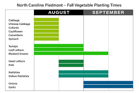 Here is a useful list of vegetables to saw for spring yields. Gardening Fall Vegetables To Plant Now Carycitizen