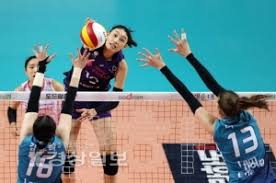 여자배구 유니폼 역시 비슷한 전철을 밟았다. ë†êµ¬ ë°°êµ¬ ì²´ìœ¡ ê¸°ì‚¬ëª©ë¡ ê²½ìƒì¼ë³´