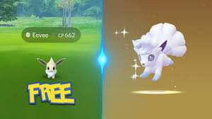 How to evolve eevee into sylveon, leafeon, glaceon, umbreon, espeon, vaporeon, jolteon and flareon a hidden reference to the tv show allows you choose the way eevee. How To Get A Free Shiny Eevee In Pokemon Go How To Find The Shiny Alolan Pokemon Youtube