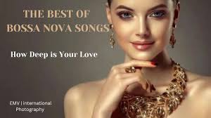 Stephanie Nova Trend