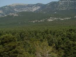 Σε ετοιμοτητα το λιμενικο σε πορτο γερμενο και ψαθα. Bilia Porto Germeno Psa8a Limnh Boyliagmenhs Motoriders Club