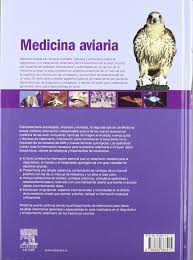 Aviaria, l'epidemia non si ferma: Medicina Aviaria Amazon Co Uk Samour Jaime Gea Consultoria Editorial 9788480866415 Books