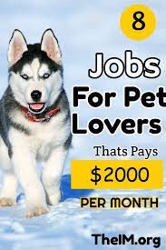 Pin On Work From Home Jobs