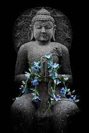 Ask A Zen Teacher What S The Difference Between Zen Tibetan Buddhism
