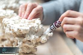 Ask questions, and admire ocean beauty. 10 Step By Step Tips To Easily Create A Perfect Reef Tank Aquascape