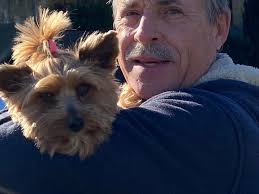 University of Florida animal hospital porto systemic shunt surgery