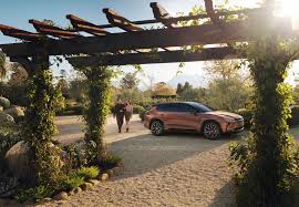 Image result for Bronze Age 2025 Crown