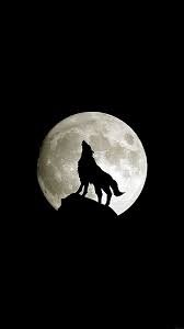 Pin by mohit yaduvanshi on android wallpapers android wallpaper. Dark Wolf Wallpaper For Iphone