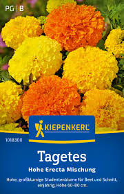 Image result for tagetes)