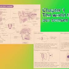 Sistem rangka manusia via www.biologi45.cikgunaza.com. Nota Sains Tingkatan 2