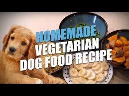 Vegan butter added with the chocolate sauce gives it a smooth * percent daily values are based on a 2000 calorie diet. Homemade Vegetarian Dog Food Recipe Simple To Make Youtube
