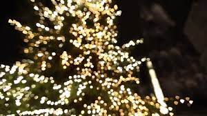 Maybe you would like to learn more about one of these? Best Twinkle Lights Gifs Gfycat