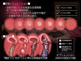 中身確認】大丈夫、入ってますよ！ 断面図があるエロゲー【ヨシッ】 - DLチャンネル みんなで作る二次元情報サイト！